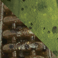 Green Pumpkin/Watermelon