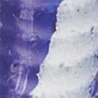 Purple/White Stripe