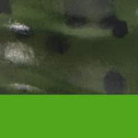 Green Pumpkin/Chartreuse Tail