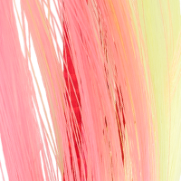 Pink/Chartreuse