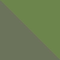 Dill/Winter Moss