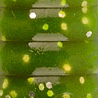 Purple Chartreuse