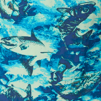 Pool Riverrun Print
