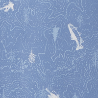 Bluestone Trout N About Print