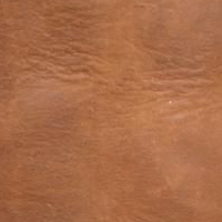 Mississippi Brown