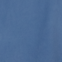 Coronet Blue