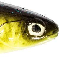 Bayou Tiger