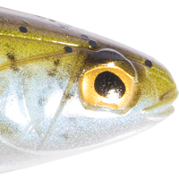 Mossback
