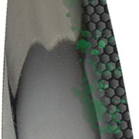 Gizzard Shad