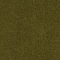 Burnt Olive