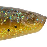 Sun Gill