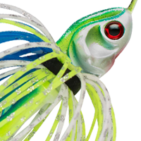 White/Chartreuse/Blue