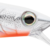 Metallic Glass Ghost