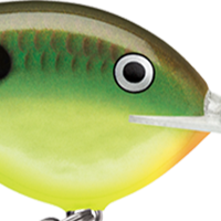 Hot Copper Green Shad