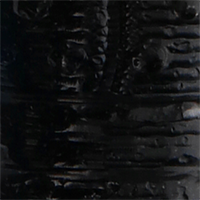 Bruised Shin