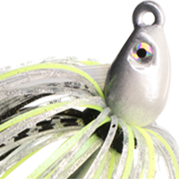 Chartreuse Shad