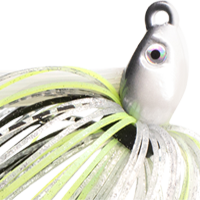 Chartreuse Shad