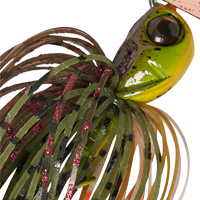 Bluegill