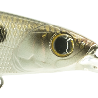 4K Shad