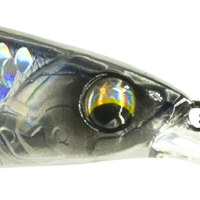 Pro Blue Scales