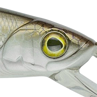4K Shad