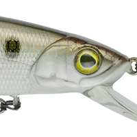 4K Shad