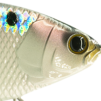 Shad Scales