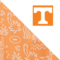 Univ of Tennessee/Solarize Fis