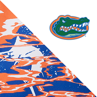 Univ of Florida/Azul Rip Prt