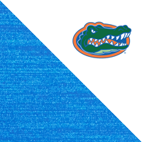 Univ of Florida/Azul Htr