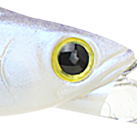 Chartreuse Shad