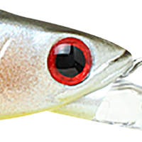 Pearl Threadfin Shad