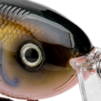 Ghost Gill