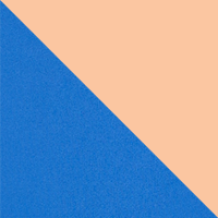 Vivid Blue/Bright Nectar Logo