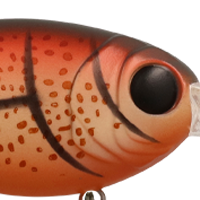 Brown Craw