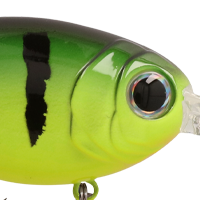 Perch
