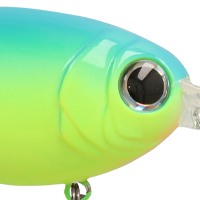 Chartreuse Blue Back