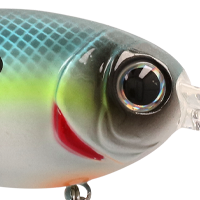 Chartreuse Sexy Shad