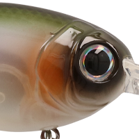 Natty Shad