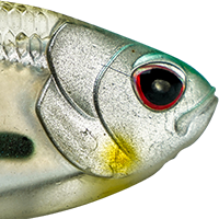 Holo Ghost Shad
