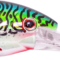 Silver Green Mackerel