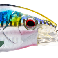 Sardine