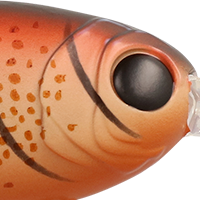 Brown Craw