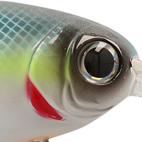 Chartreuse Sexy Shad