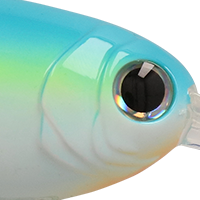 Citrus Shad
