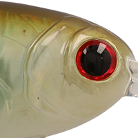 Ghost Shad