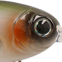 Natty Shad