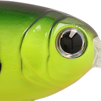 Perch