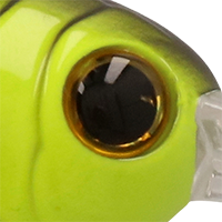Chartreuse Black Back