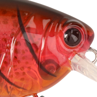 Ghost Red